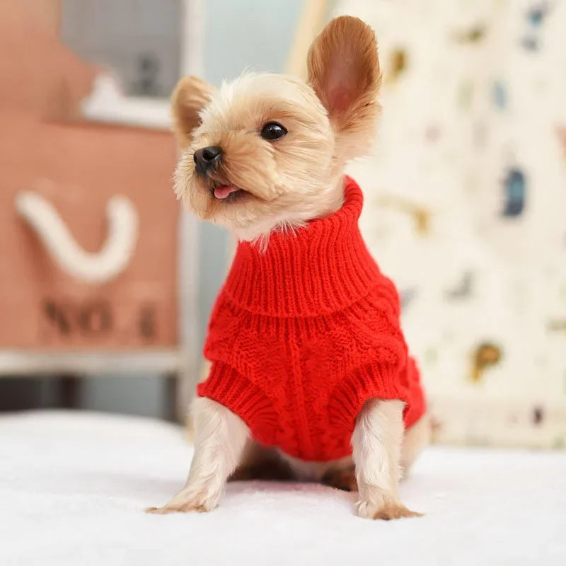 Roupa de Lã para Cães