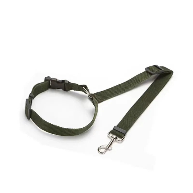 Coleira de Nylon para Cães