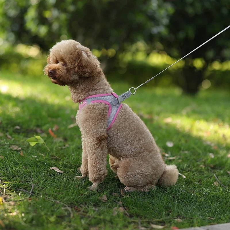 Kit Peitoral e Guia Refletivo para Pets