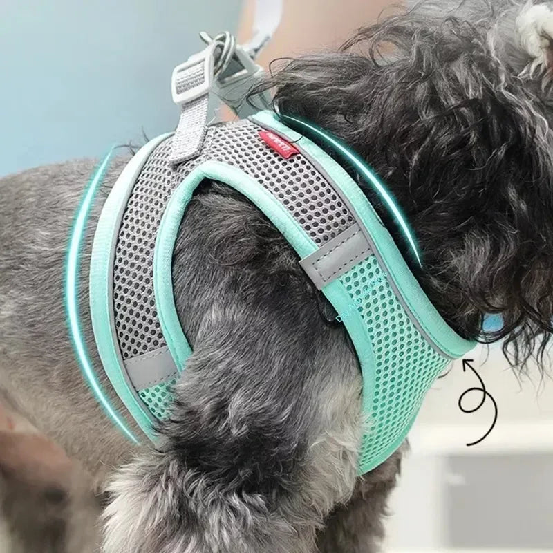 Kit Peitoral e Guia Refletivo para Pets