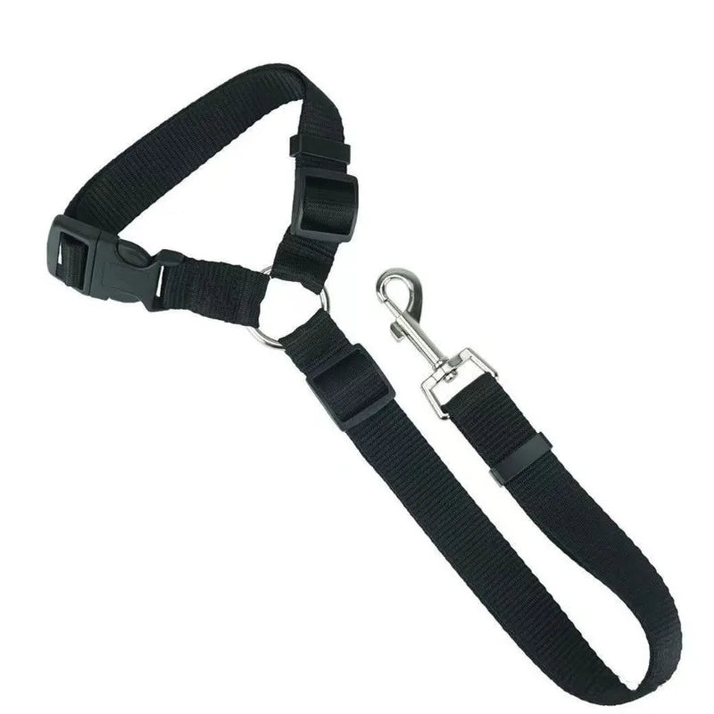 Coleira de Nylon para Cães