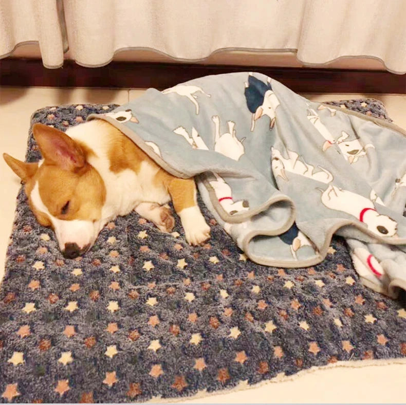 Colchonete Acolchoado para Cães