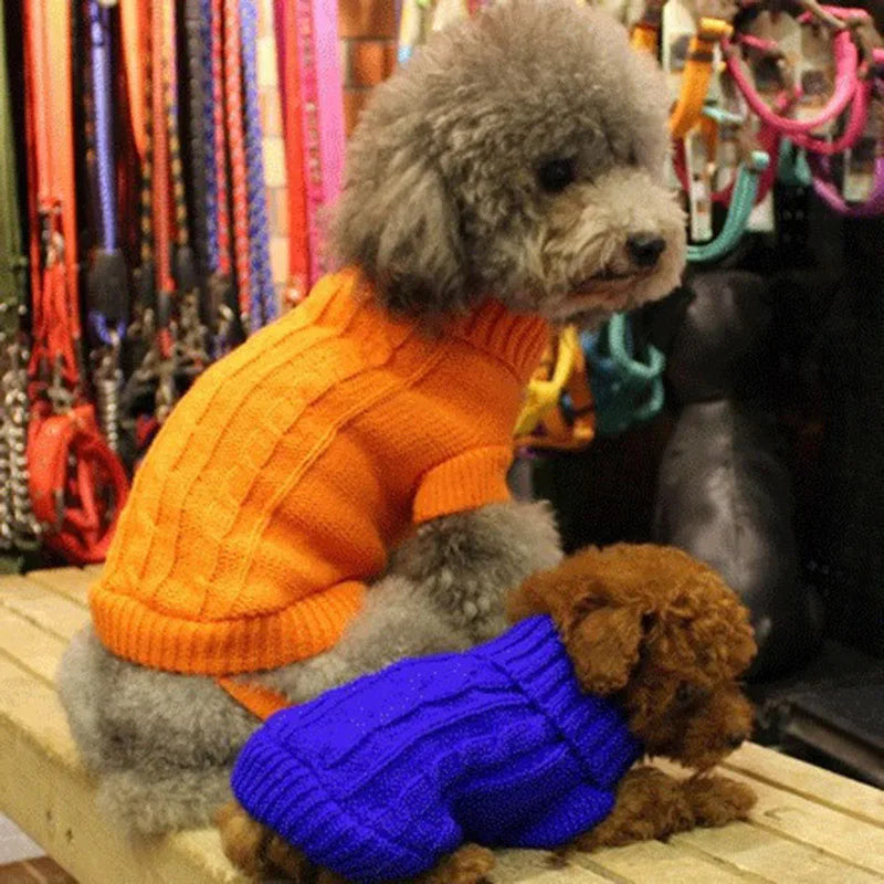 Roupa de Lã para Cães