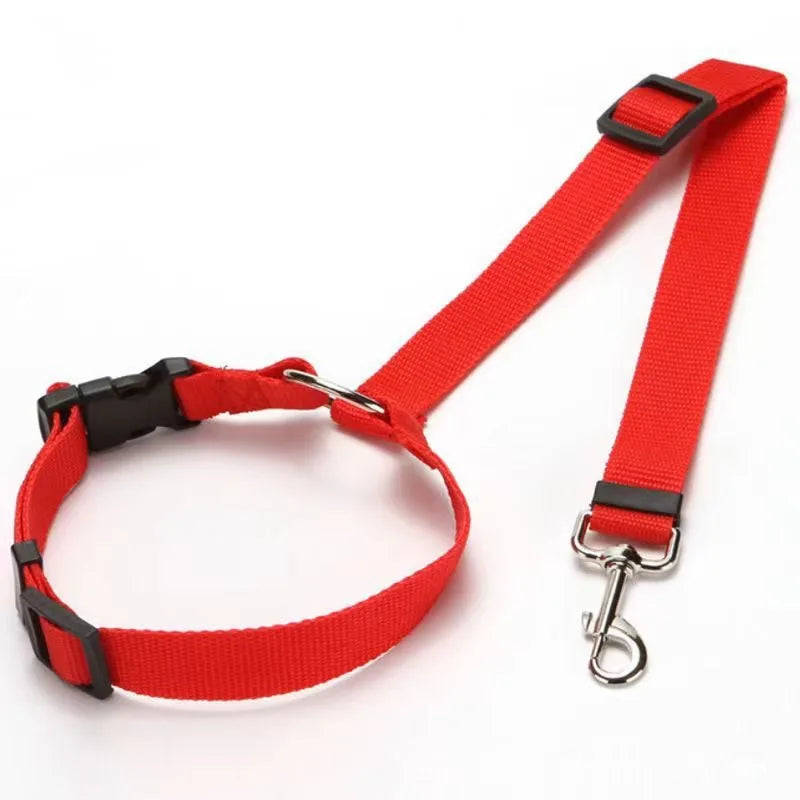 Coleira de Nylon para Cães