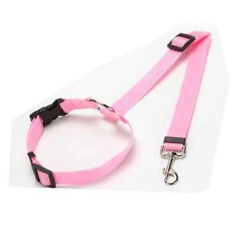 Coleira de Nylon para Cães