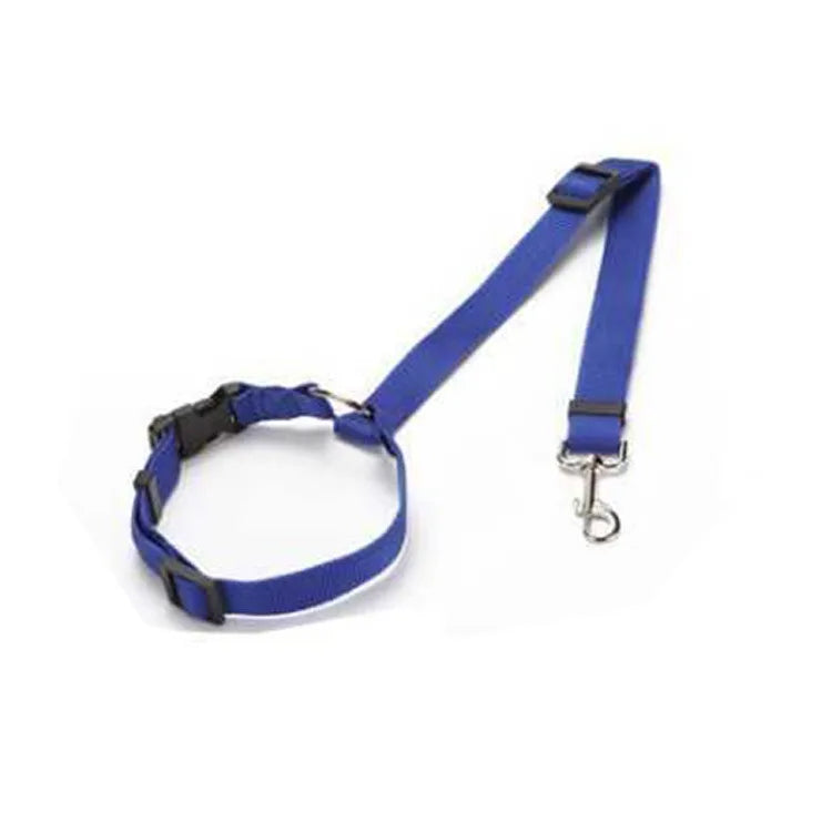 Coleira de Nylon para Cães