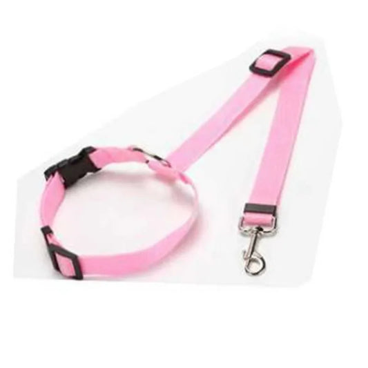 Coleira de Nylon para Cães