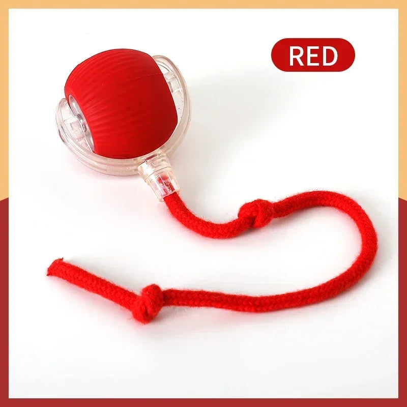 Smart Ball Interativa para Gatos