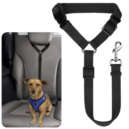 Coleira de Nylon para Cães